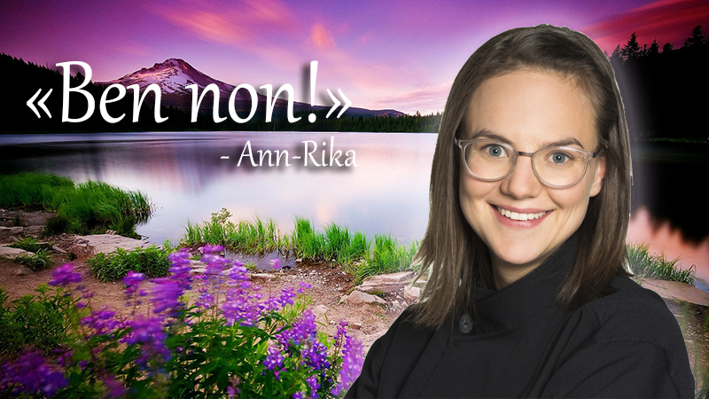 inspiration-Ann-Rika.jpg