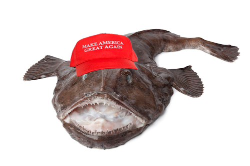poisson-laid.jpg